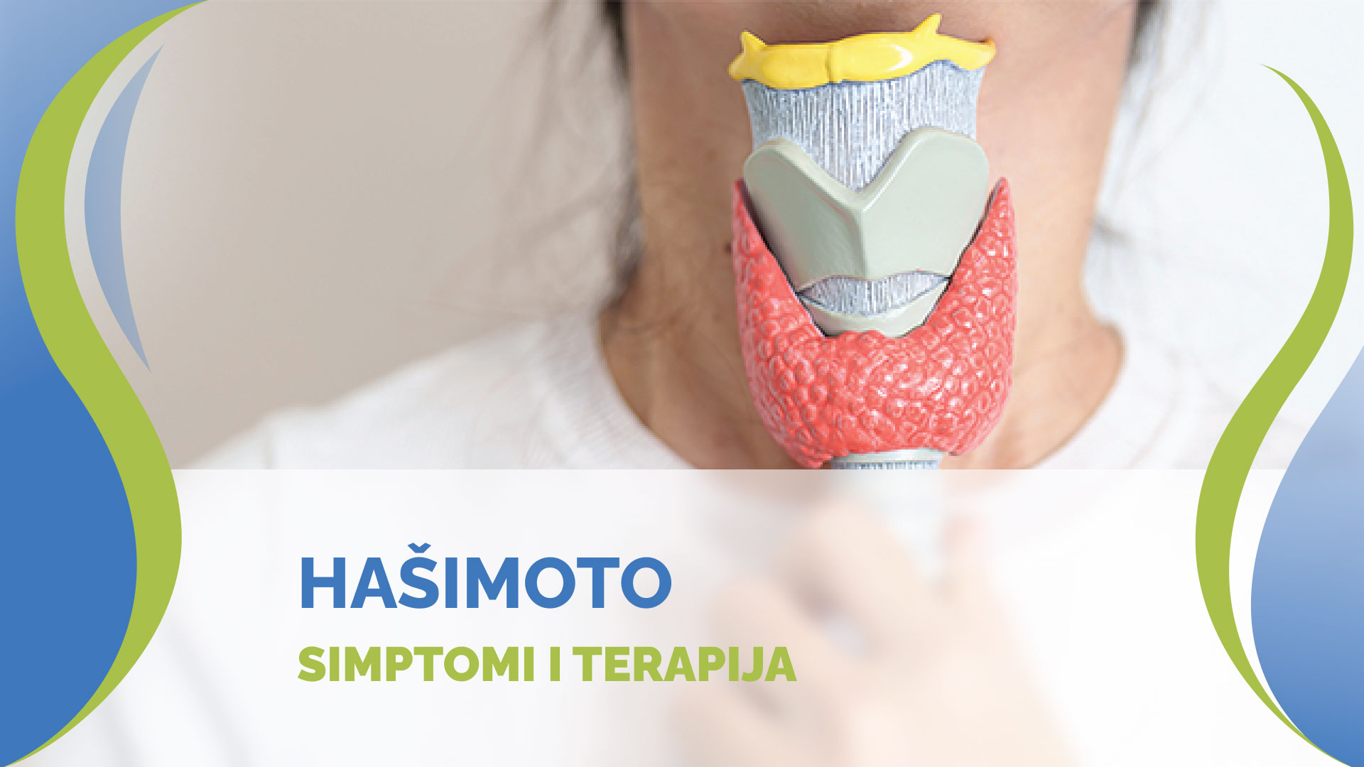 Hašimoto Hipotireoza i Tireoiditis │ Simptomi i Terapija │ Hašimotova bolest