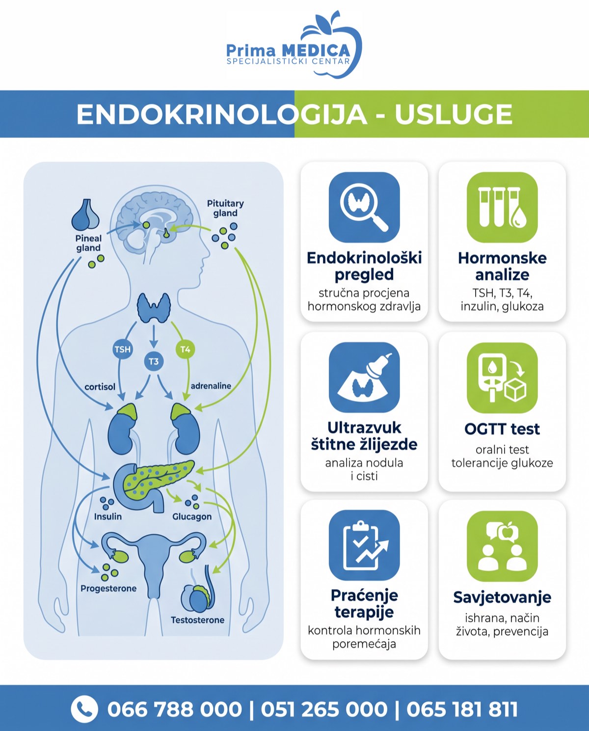 Endokrinologija usluge - Prima MEDICA Banja Luka