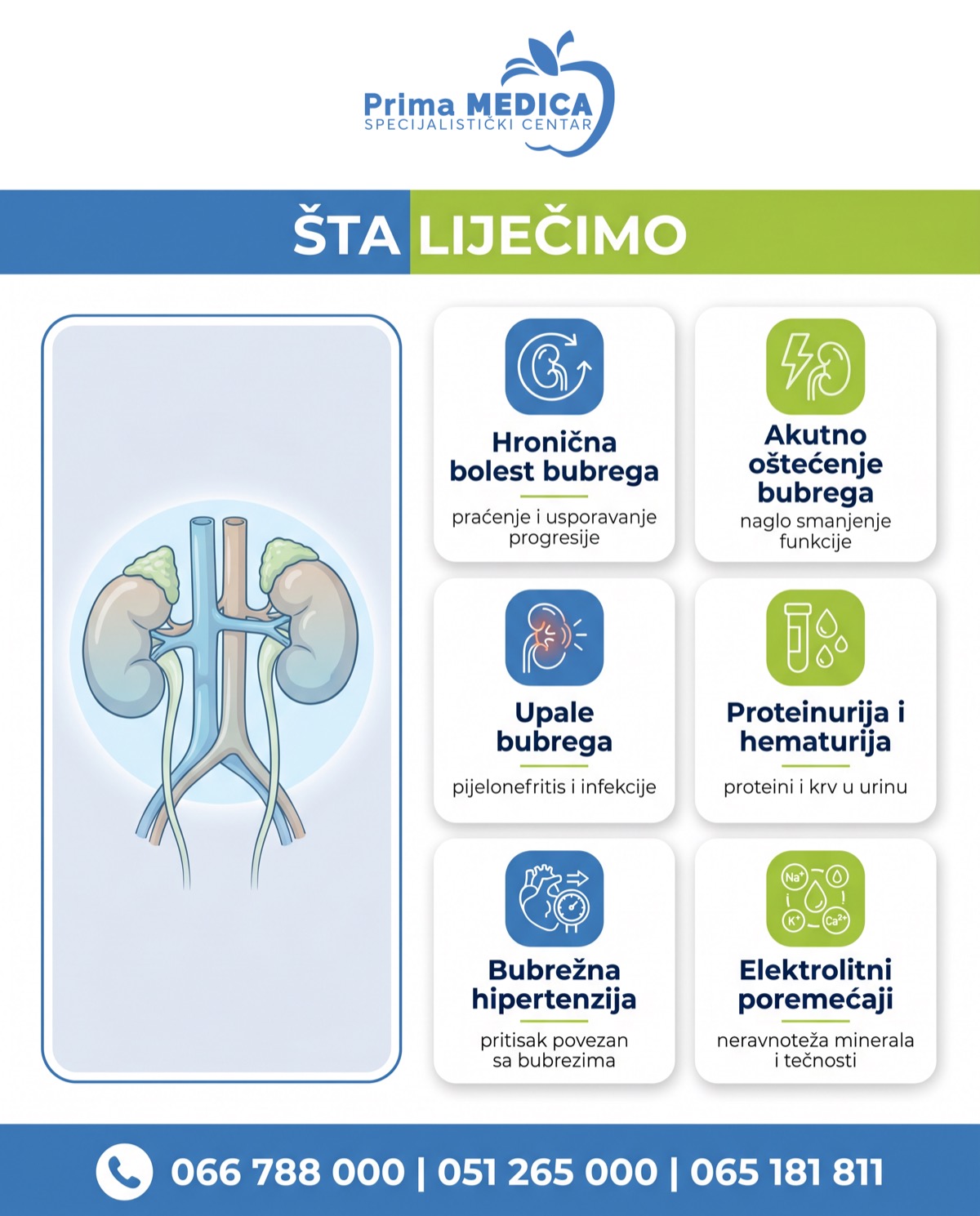 Sta lijeci nefrolog - Prima MEDICA