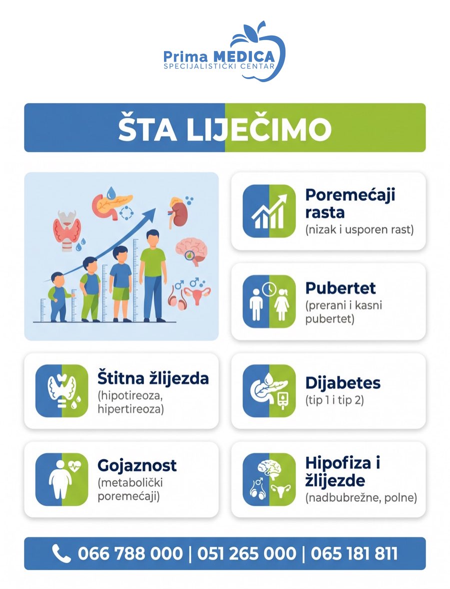 Šta liječi dječiji endokrinolog - poremećaji rasta, pubertet, štitna žlijezda, dijabetes, gojaznost, hipofiza - Prima MEDICA