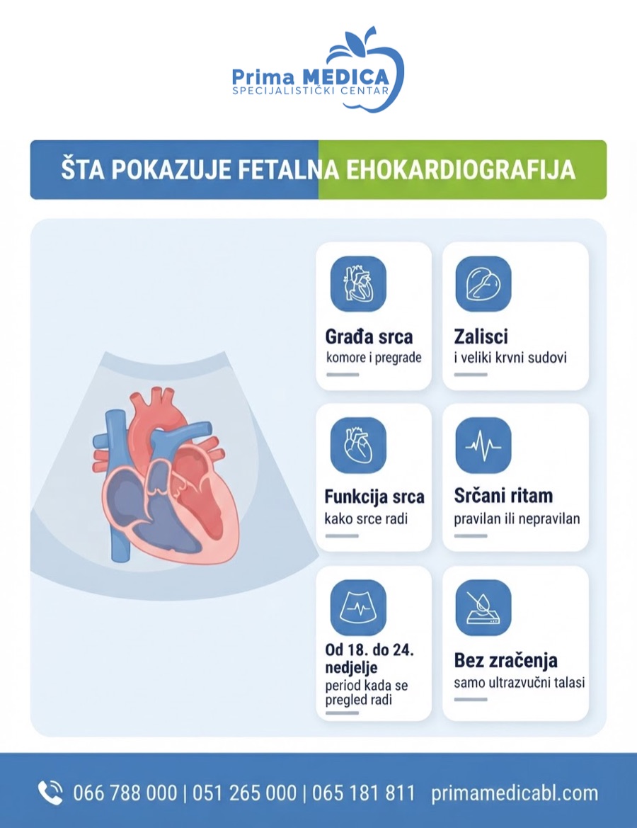 Šta pokazuje fetalna ehokardiografija - građa, funkcija i ritam srca ploda